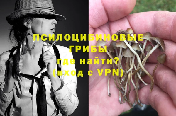 мет Пересвет