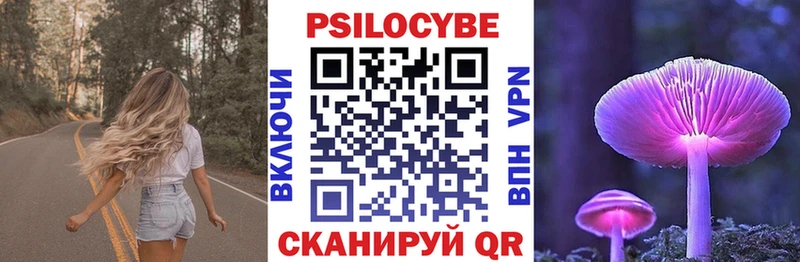 цены наркотик Большой Камень Галлюциногенные грибы Psilocybe