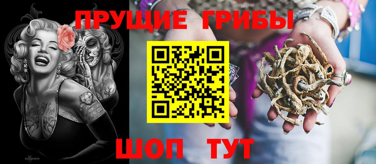 купить наркоту  Галлюциногенные грибы GOLDEN TEACHER  Большой Камень  Галлюциногенные грибы мицелий 