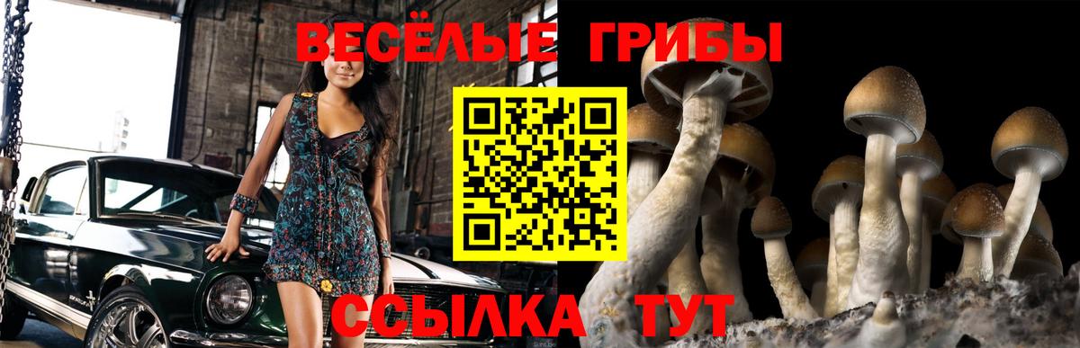 Галлюциногенные грибы Cubensis  Псилоцибиновые грибы MAGIC MUSHROOMS  Вход с VPN  Большой Камень 