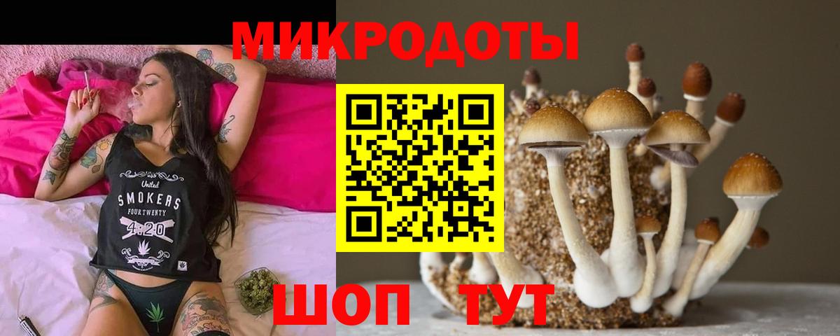Псилоцибиновые грибы MAGIC MUSHROOMS Большой Камень